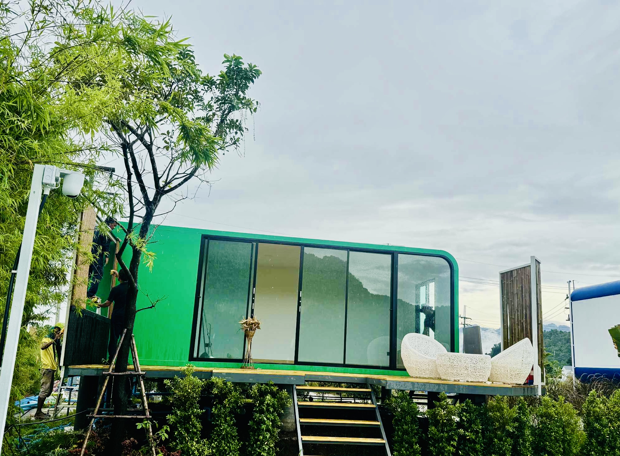 The Chill Bats - Green